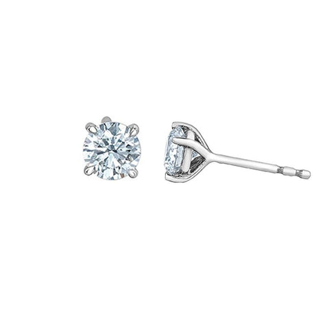 1.00TDW Lab Grown Diamond Solitaire Earrings in14K White Gold